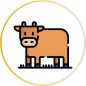 qurban