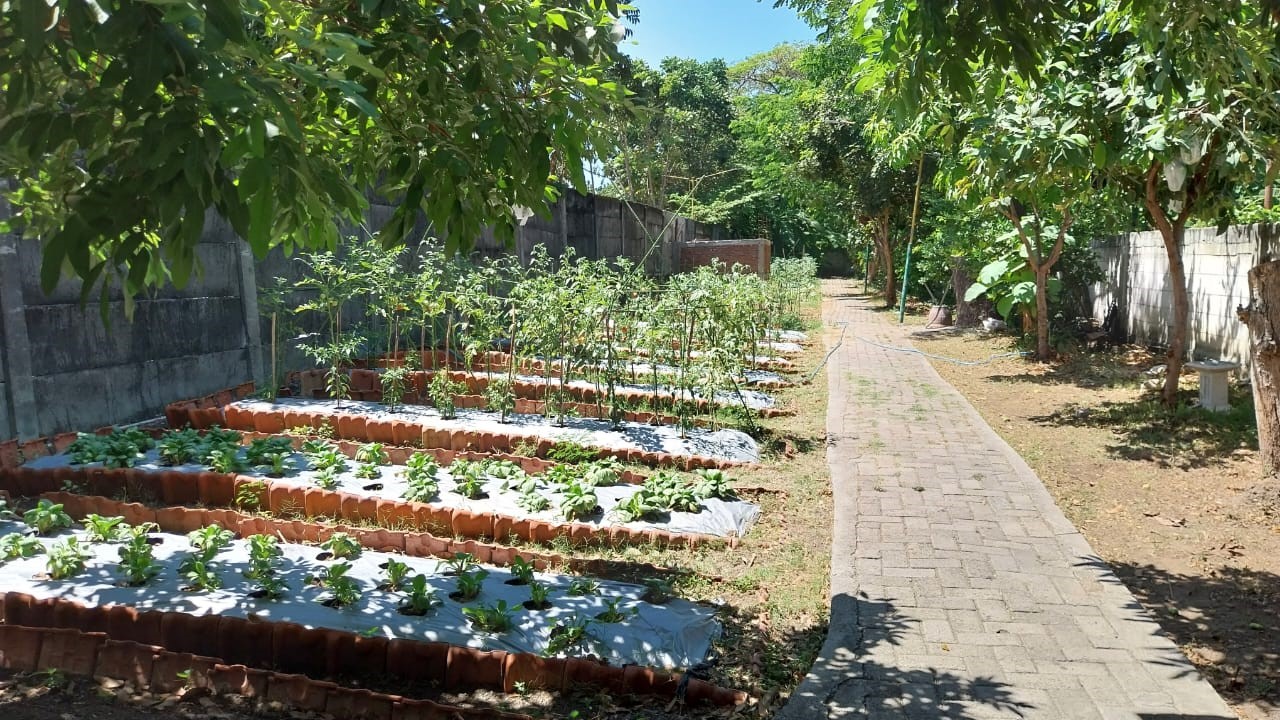 kebun