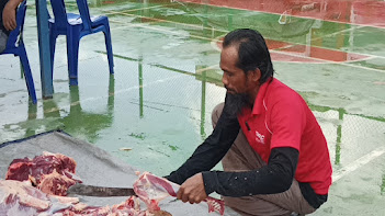 Pemotongan Hewan Qurban